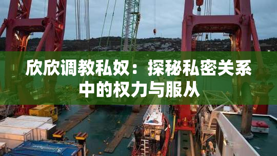 欣欣调教私奴：探秘私密关系中的权力与服从