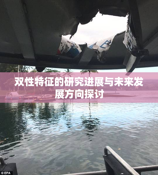 双性特征的研究进展与未来发展方向探讨