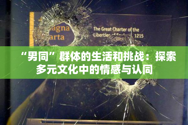 “男同”群体的生活和挑战：探索多元文化中的情感与认同