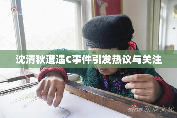 沈清秋遭遇C事件引发热议与关注