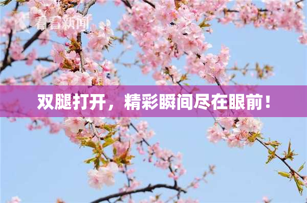 双腿打开，精彩瞬间尽在眼前！