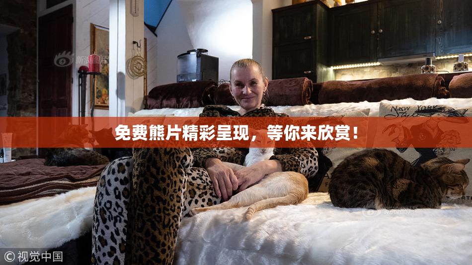 免费熊片精彩呈现，等你来欣赏！