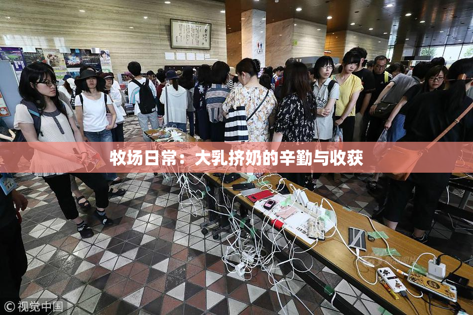 牧场日常：大乳挤奶的辛勤与收获