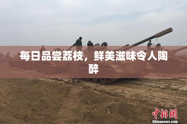 每日品尝荔枝，鲜美滋味令人陶醉