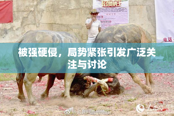 被强硬侵，局势紧张引发广泛关注与讨论