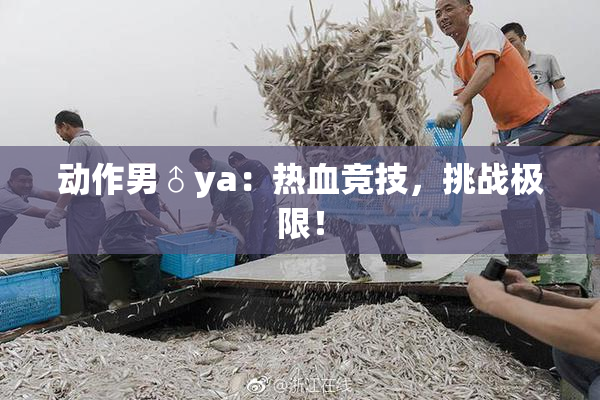 动作男♂ya：热血竞技，挑战极限！