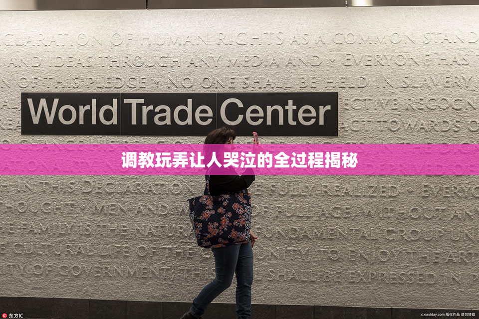 调教玩弄让人哭泣的全过程揭秘