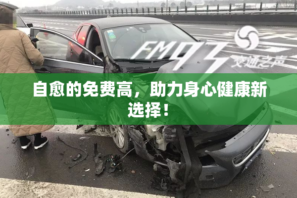 自愈的免费高，助力身心健康新选择！