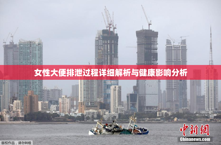 女性大便排泄过程详细解析与健康影响分析