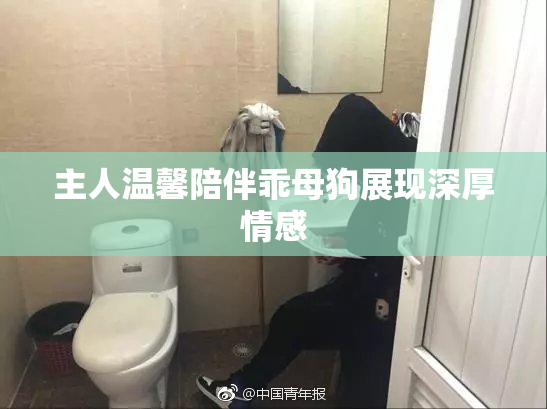 主人温馨陪伴乖母狗展现深厚情感