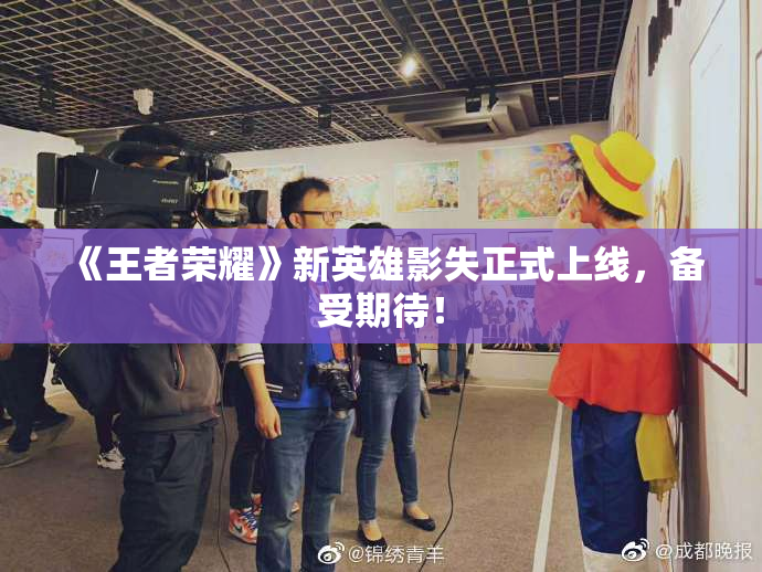 《王者荣耀》新英雄影失正式上线，备受期待！