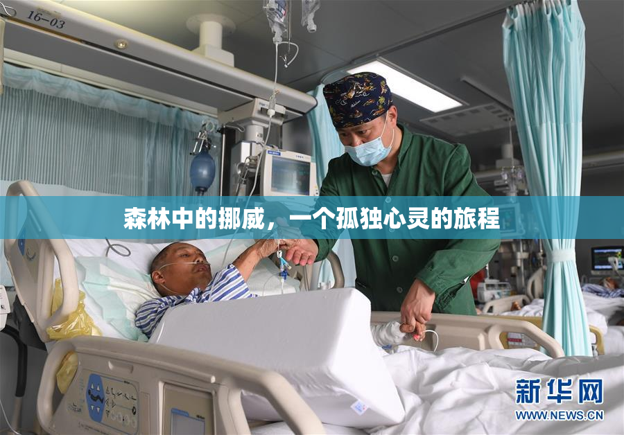 森林中的挪威，一个孤独心灵的旅程
