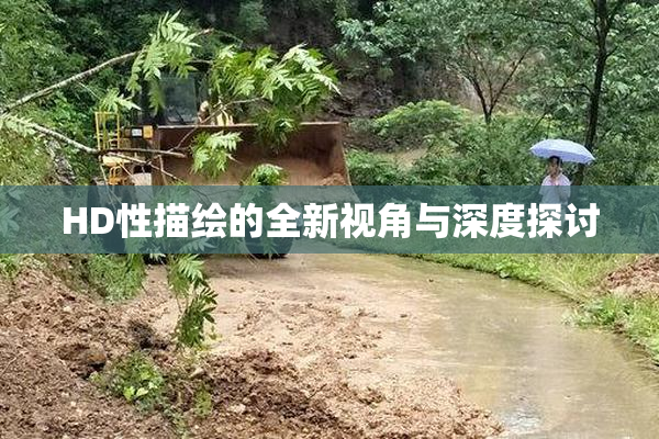 HD性描绘的全新视角与深度探讨
