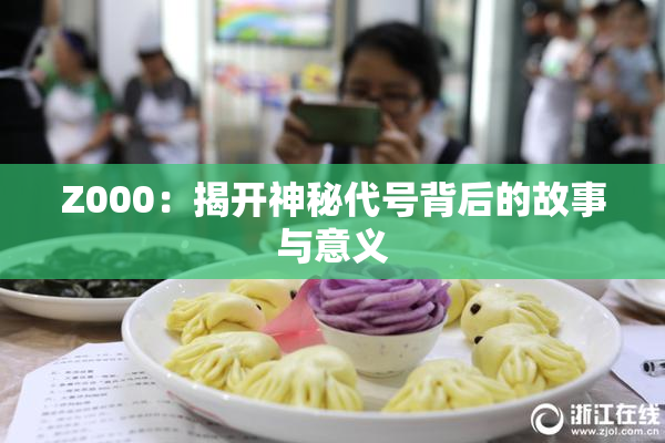 Z000：揭开神秘代号背后的故事与意义