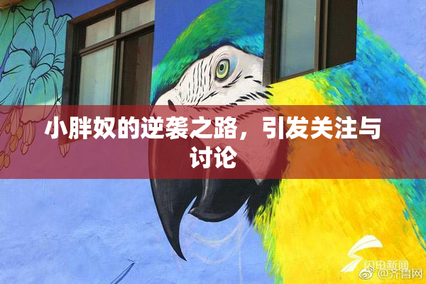 小胖奴的逆袭之路，引发关注与讨论