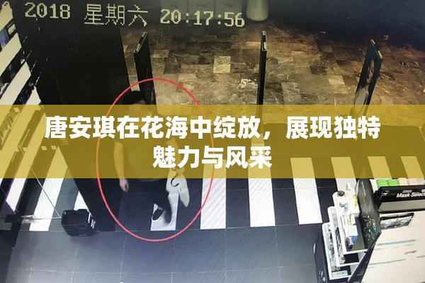 唐安琪在花海中绽放，展现独特魅力与风采