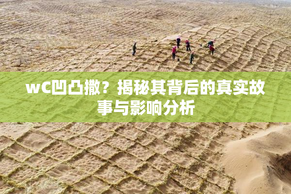 wC凹凸撒？揭秘其背后的真实故事与影响分析