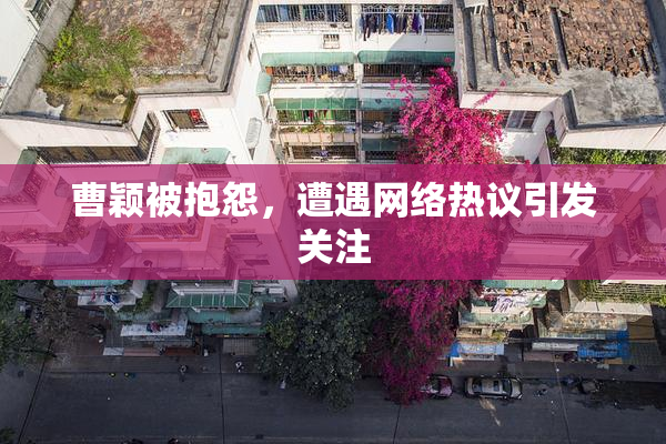 曹颖被抱怨，遭遇网络热议引发关注