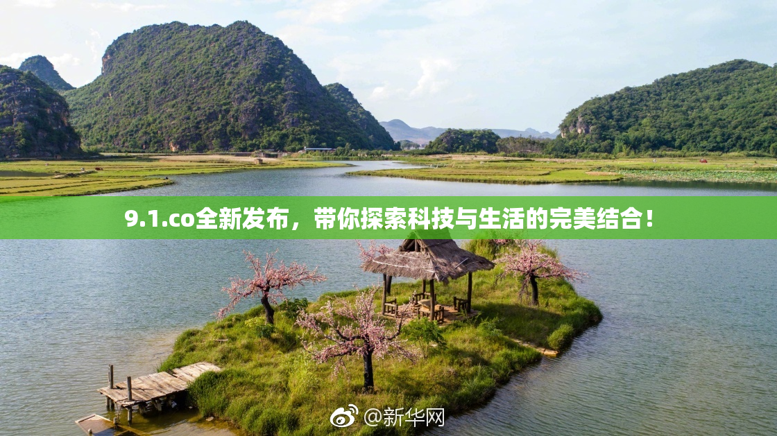 9.1.co全新发布，带你探索科技与生活的完美结合！