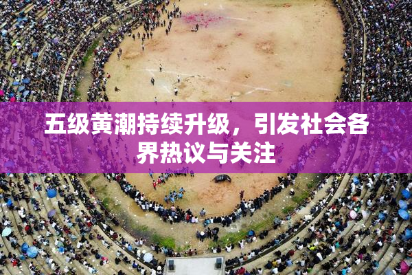 五级黄潮持续升级，引发社会各界热议与关注