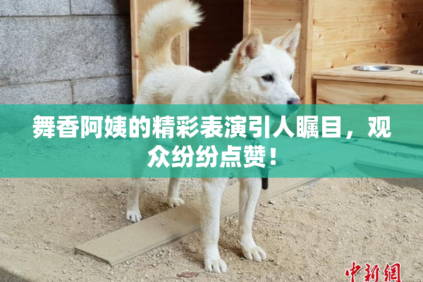 舞香阿姨的精彩表演引人瞩目，观众纷纷点赞！