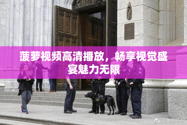 菠萝视频高清播放，畅享视觉盛宴魅力无限