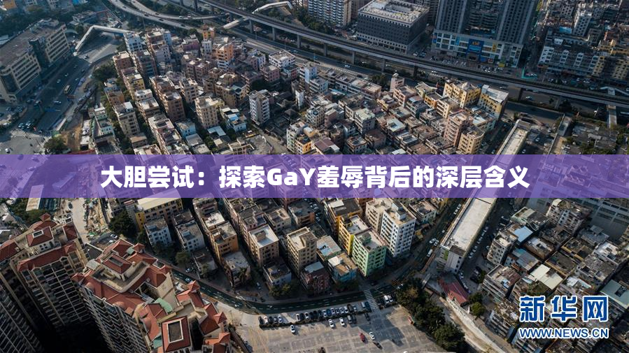 大胆尝试：探索GaY羞辱背后的深层含义