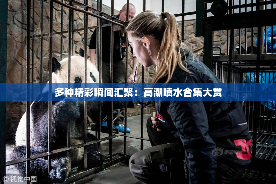 多种精彩瞬间汇聚：高潮喷水合集大赏