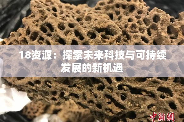 18资源：探索未来科技与可持续发展的新机遇