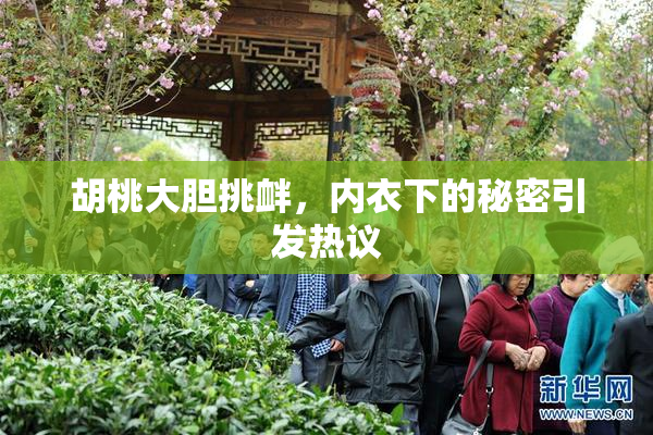 胡桃大胆挑衅，内衣下的秘密引发热议