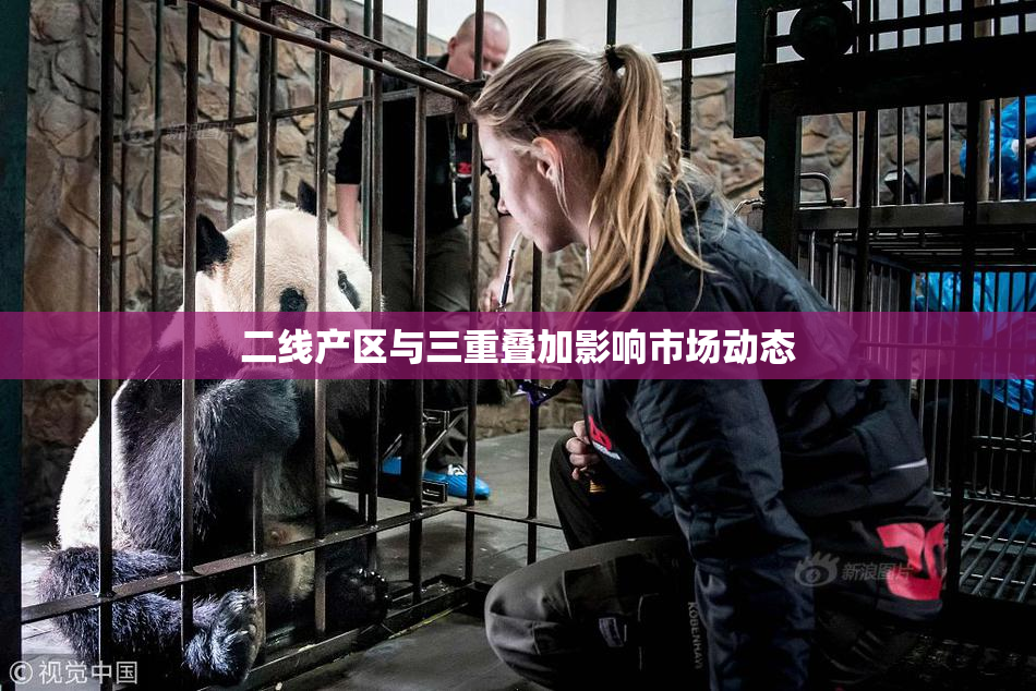 二线产区与三重叠加影响市场动态