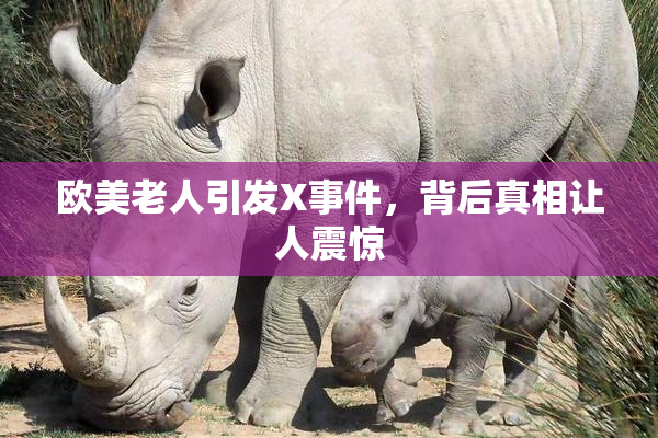 欧美老人引发X事件，背后真相让人震惊