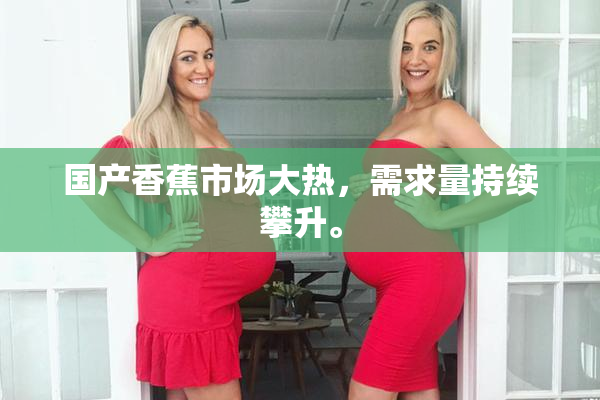 国产香蕉市场大热，需求量持续攀升。