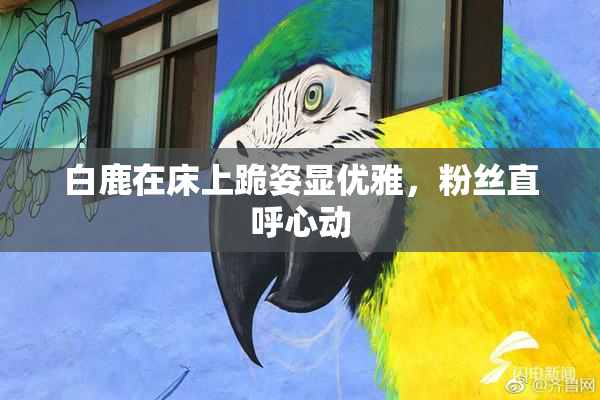 白鹿在床上跪姿显优雅，粉丝直呼心动