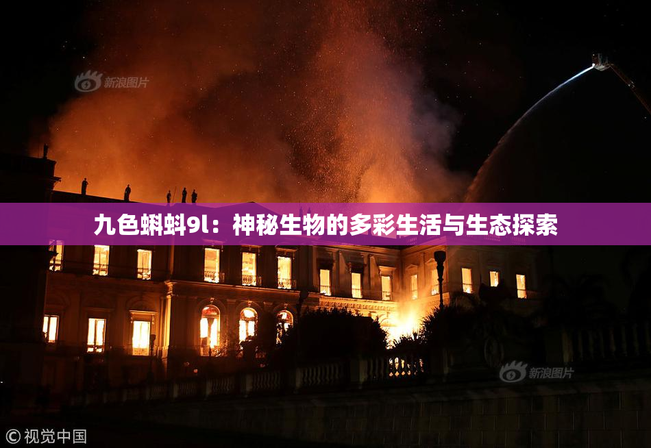 九色蝌蚪9l：神秘生物的多彩生活与生态探索