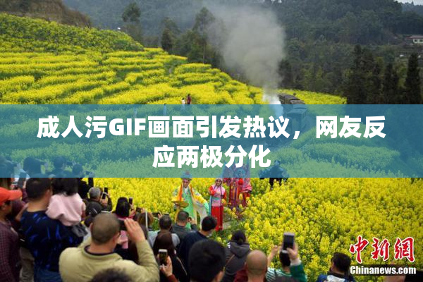 成人污GIF画面引发热议，网友反应两极分化