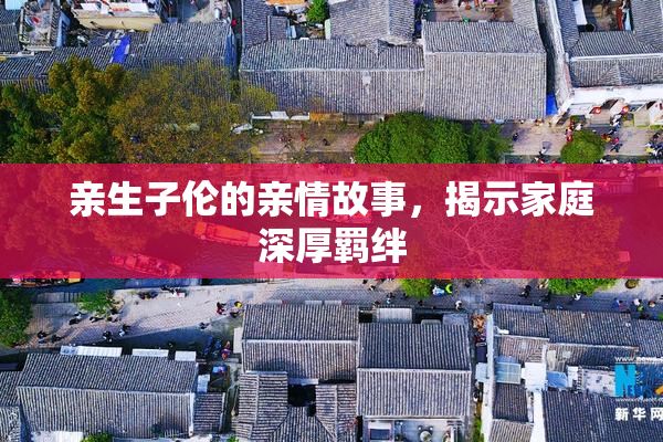 亲生子伦的亲情故事，揭示家庭深厚羁绊