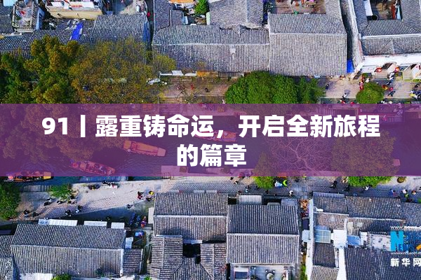 91丨露重铸命运，开启全新旅程的篇章
