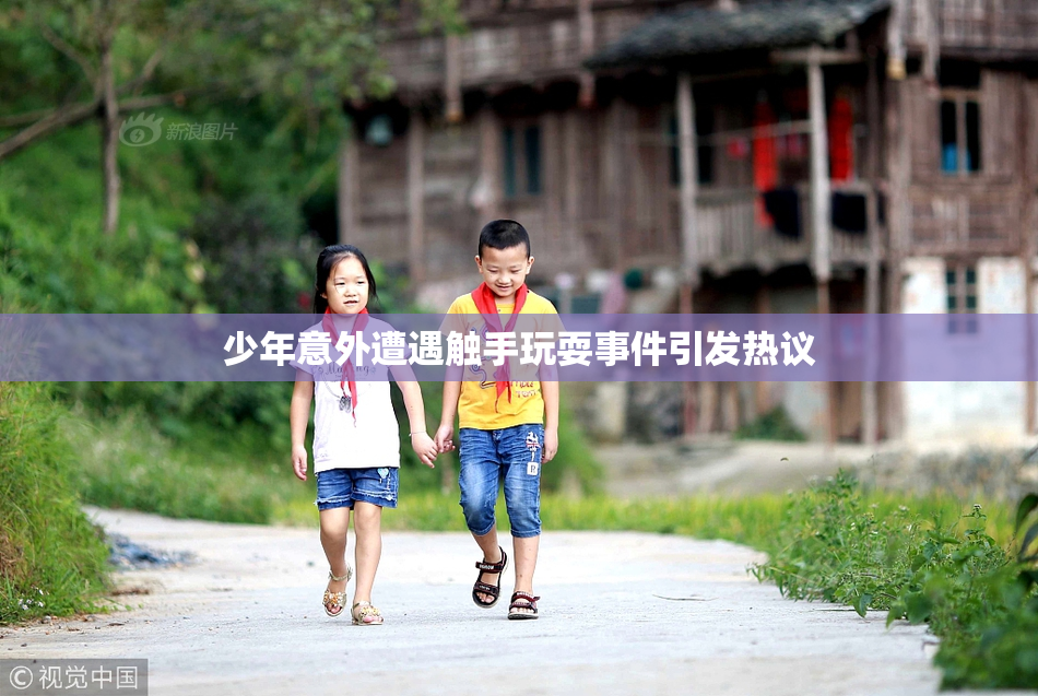 少年意外遭遇触手玩耍事件引发热议
