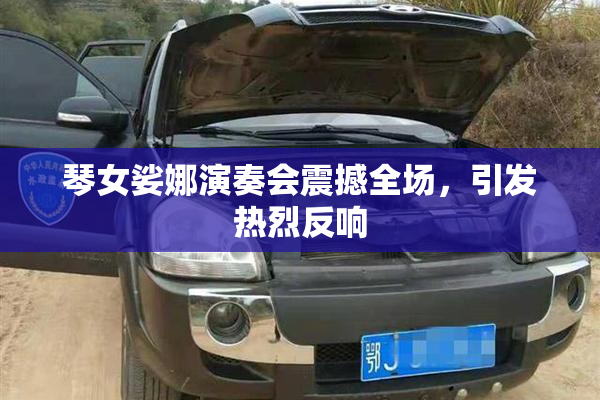 琴女娑娜演奏会震撼全场，引发热烈反响