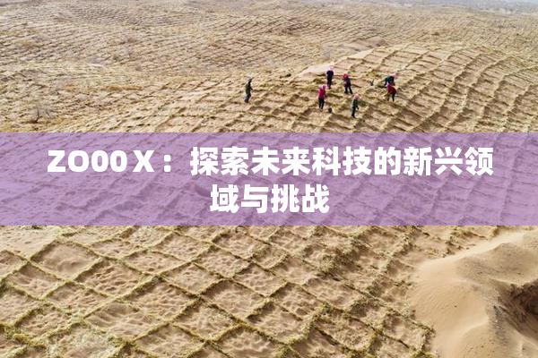 ZO00Ⅹ：探索未来科技的新兴领域与挑战
