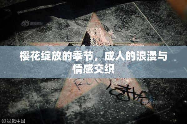 樱花绽放的季节，成人的浪漫与情感交织