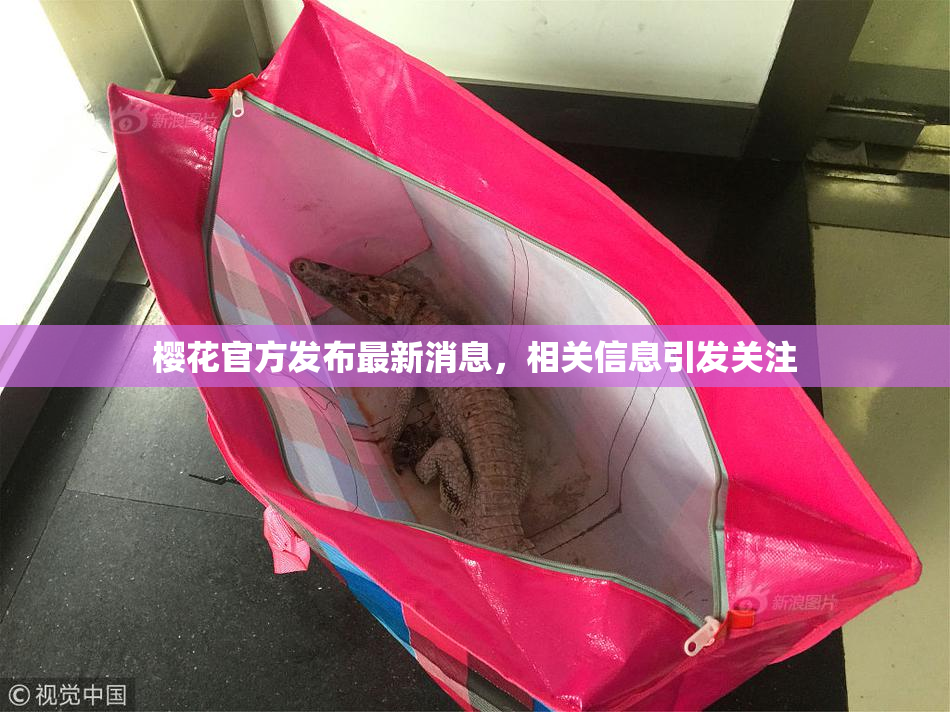 樱花官方发布最新消息，相关信息引发关注
