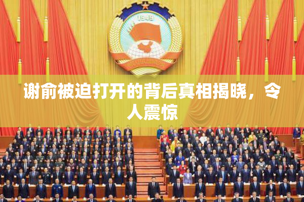 谢俞被迫打开的背后真相揭晓，令人震惊