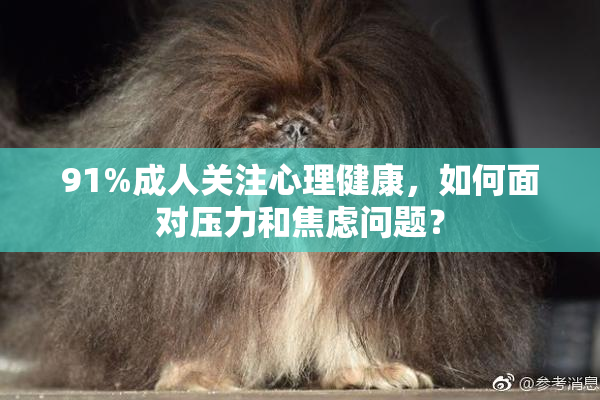 91%成人关注心理健康，如何面对压力和焦虑问题？