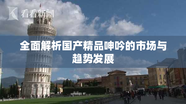全面解析国产精品呻吟的市场与趋势发展