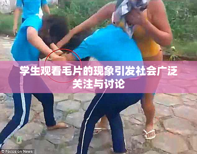 学生观看毛片的现象引发社会广泛关注与讨论