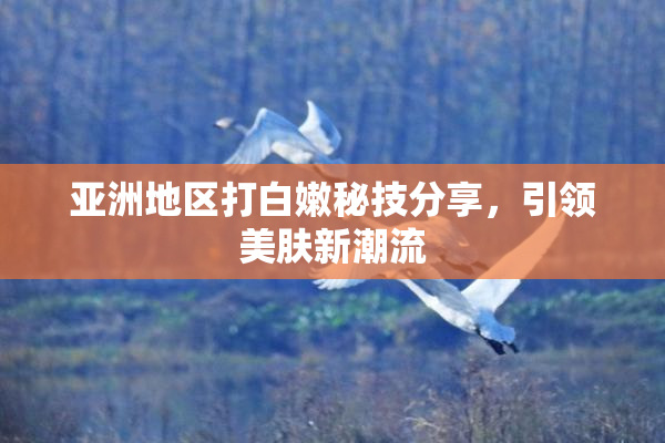 亚洲地区打白嫩秘技分享，引领美肤新潮流