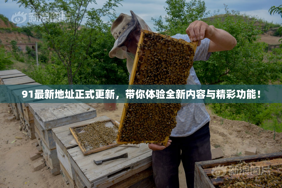 91最新地址正式更新，带你体验全新内容与精彩功能！
