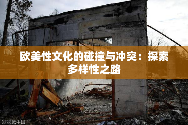 欧美性文化的碰撞与冲突：探索多样性之路